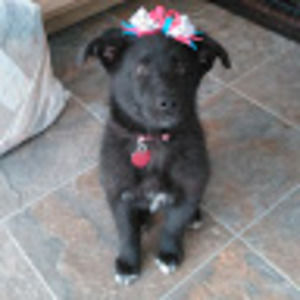 Meet your Posher, Brittney